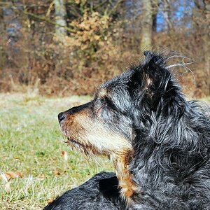 DSC 0226 Wh 5a