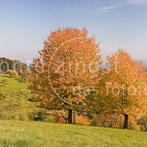 HZ11 FWS Panoramafotografie Harald Wickel