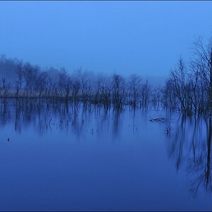 aacomp Hasenmoor 20110319 0159