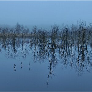 aacomp Hasenmoor 20110319 0182ab