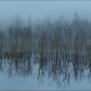 aacomp Hasenmoor 20110319 0199abc