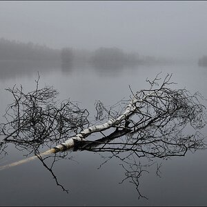 aacomp Hasenmoor 20110319 0395