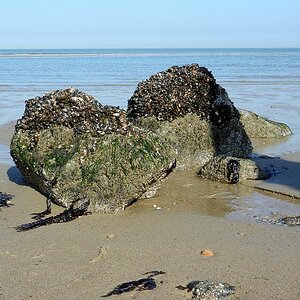 Strand2
