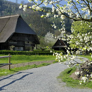 2011040816231855