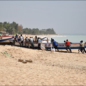 comp 5Senegal 3 027b