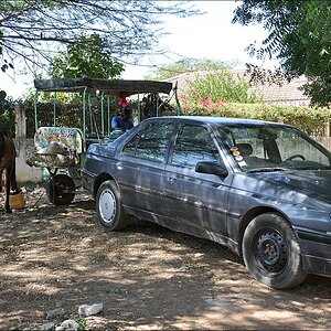 comp 0Senegal 3 351b