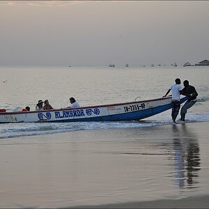 comp 8Senegal 1 247b