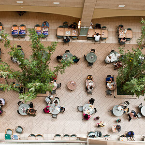 Perspekiven 3
Shopping Mall in Harlem, NY