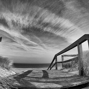 Fisheye (2)