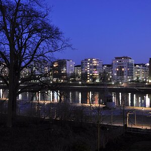 Mainufer in Frankfurt
