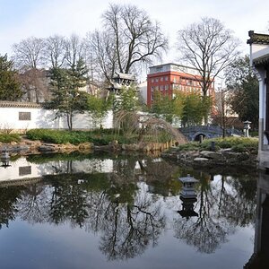 Chinesischer Garten in Frankfurt