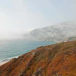 Fog 1