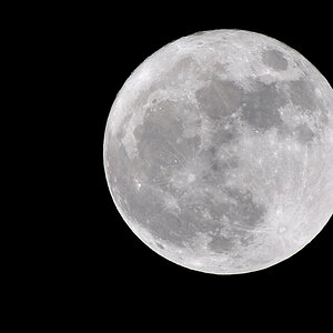 Mond D90 3460 2