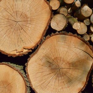 ISO 5000
