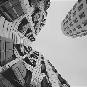 cR Gehry 24