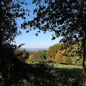 k Herbst im Wald 06