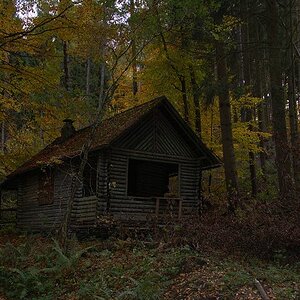 k Waldhütte im Herbst