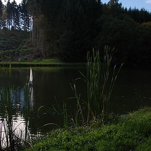 k Waldsee 2010