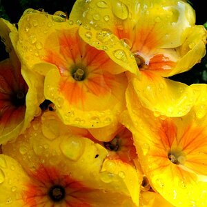 20110327 145434