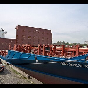 Schiff ASD