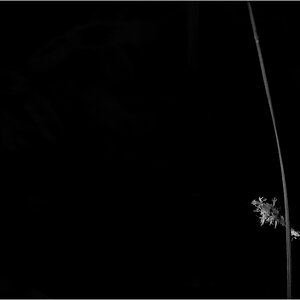 LichtDSC 0233