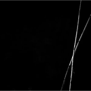 LichtDSC 0237