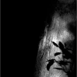 LichtDSC 0250