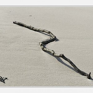 Eines von vielen Fundstücken am Strand - hier interessierte mich die diagonale Lage und der Schatten