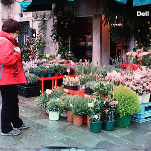 Dell M