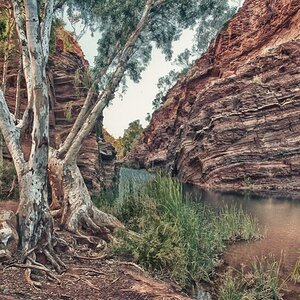 Hamersley range