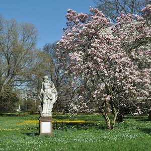 Frühling im Palmengarten