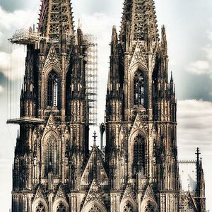 Dom