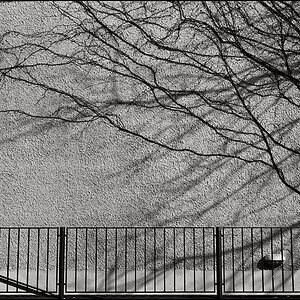 Muenchen 3 2011 225