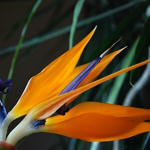 Test0050