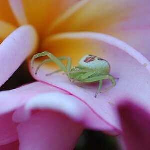 BILD 0173