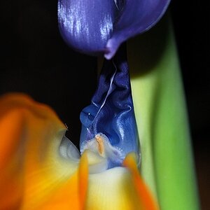 Foto0001