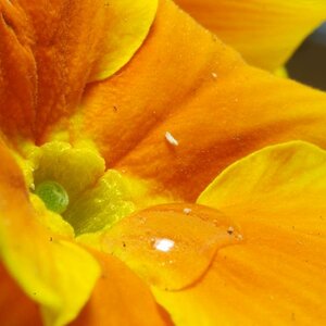 Foto0551
