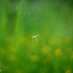 BILD 0069