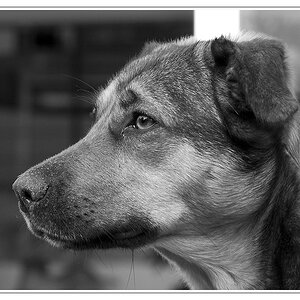 Mrvica in SW Mai2011