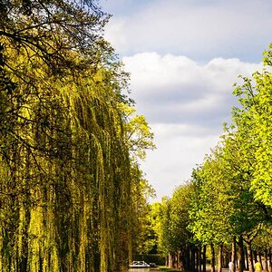 schlossgarten schwetzingen