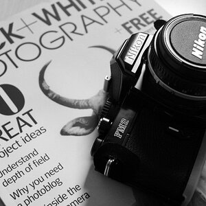 Meine Nikon FM2