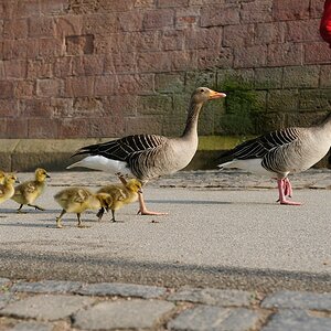 Familienausflug