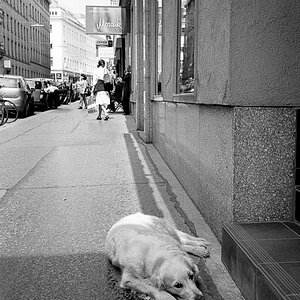 New Wien 20110514 029