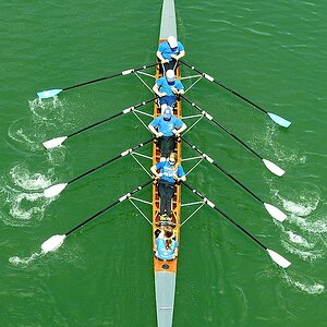 Frühregatta in Mannheim