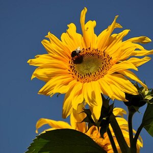 K1024 DSC 0014