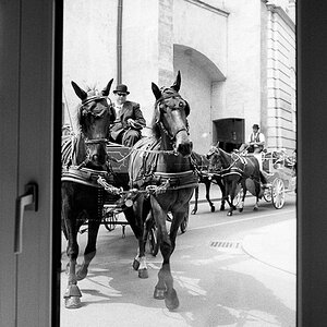 New Wien 20110514 006