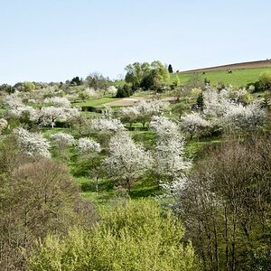 DSC2683