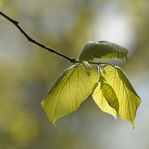 20110416 151201