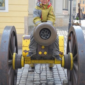 Dresden 13