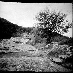 Ruine Freudenberg